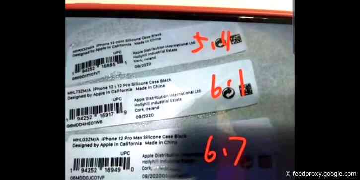 Claimed official Apple case stickers provide more evidence of iPhone 12 names