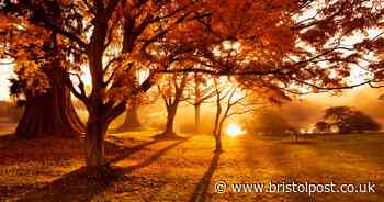 Bristol weather: 10 hours of sunshine but it will feel a lot colder