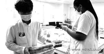 France’s botched second wave plan is a warning the UK must heed