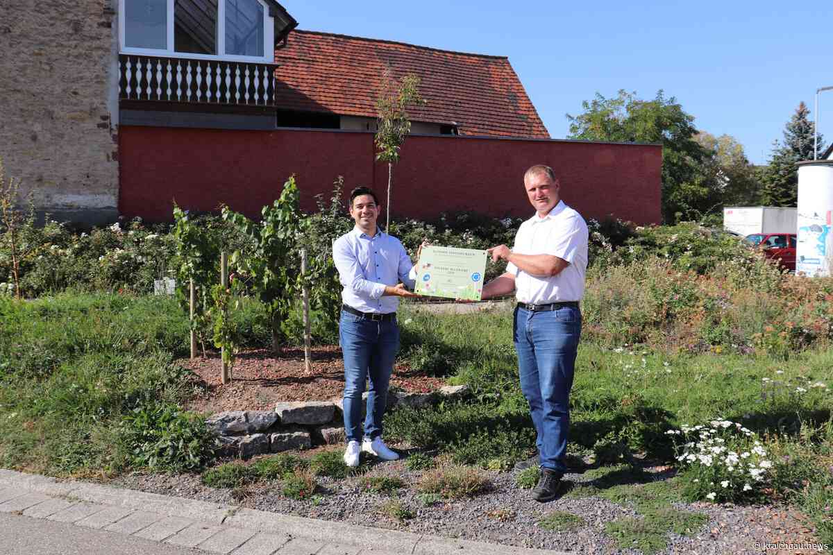 Walzbachtal gewinnt beim Wettbewerb „Blühende Verkehrsinseln“: Vorbild im Artenschutz - kraichgau.news