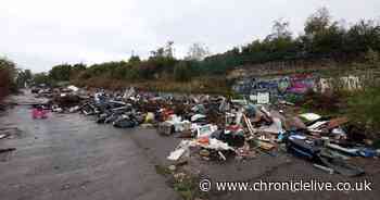 Disgusting piles of fly-tipped rubbish dumped yards from tip