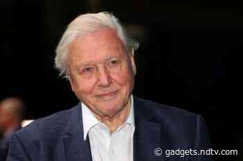 David Attenborough Sets Record for Fastest to 1 Million Instagram Followers, Hits Milestone in Under 5 Hours