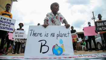 2020 could be on track to be another record-setting warm year, despite global lockdowns​​​​​​​