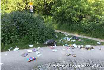 Litter could harbour Covid-19