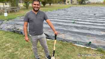 New farming project in hydro corridor aims to bring healthier food to Flemingdon Park