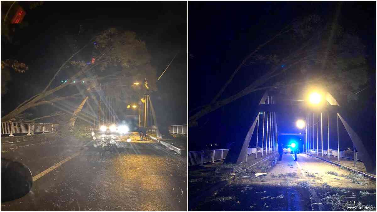 Arbre couché sur le pont de Pecq : la situation est sous contrôle - Notélé