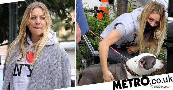 Kaley Cuoco takes a break from filming The Flight Attendant to hang out with dogs