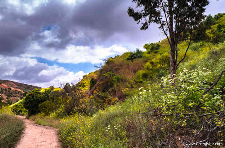 Why Whittier may be the ideal garden spot of Southern California