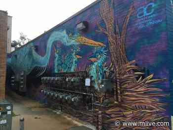 Arts Council of Greater Kalamazoo meets $100,000 fundraising goal - mlive.com