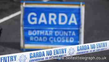 Pensioner dies in van collision