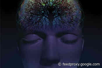 The "Synergistic Core" of the Human Brain?