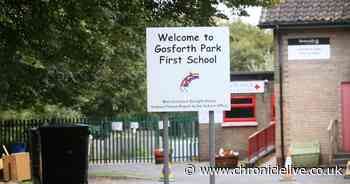 'RIP little angel': Community mourn loss of girl, 6, killed by falling tree