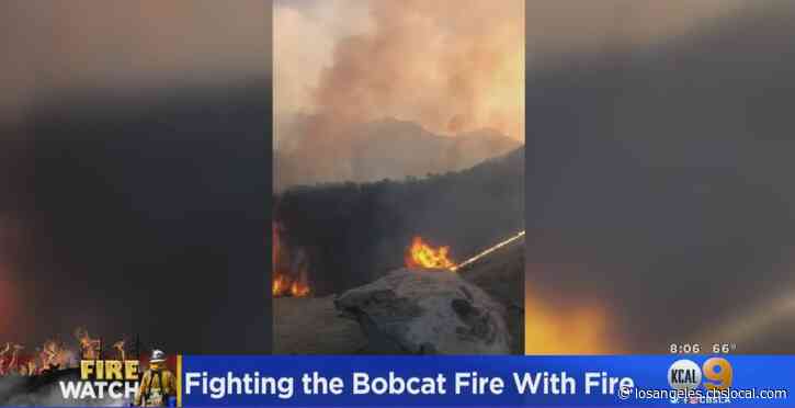 Firefighters Gain More Ground On 114,004-Acre Bobcat Fire