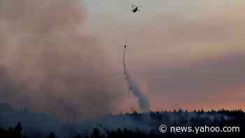 Here's where fire danger is highest in the Bay Area this weekend