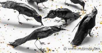 How to Make D.I.Y. Crows for Halloween