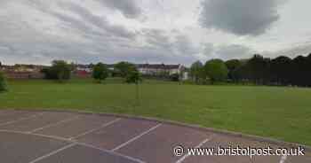 Man in court after his dog killed another dog and injured a man