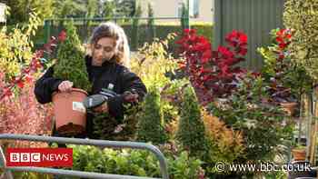 Brexit: Gardening trade faces import rule change costs