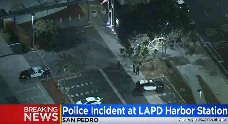 LAPD: Officer Pistol-Whipped After Suspect Entered Harbor Division Station, Grabbed Gun