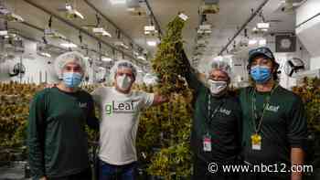 Richmond finishes up first medical marijuana harvest - WWBT NBC12 News
