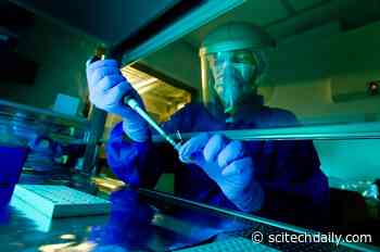 Neanderthal and Denisovan Y Chromosomes Sequenced – Surprise When Compared to Modern Human DNA