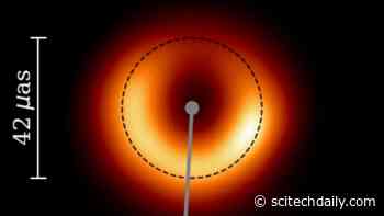 Event Horizon Telescope Reveals Turbulent Black Hole Evolution: Wobbling Shadow of the M87 Black Hole