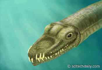 150 Year-Old Mystery Solved: Bizarre Giraffe-Necked Reptile Was a Surprisingly Adaptable Hunter