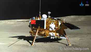 Lunar Lander Neutron and Dosimetry: First Measurements of Radiation Levels on the Moon