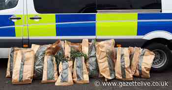 £10k of cannabis, vehicles seized and three arrested in Stockton