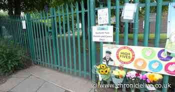 Floral tributes left in memory of schoolgirl killed by falling tree