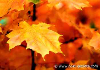 We could have our most colorful October in years