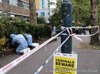 Croydon: Four crime scenes searched over Sgt Ratana's death