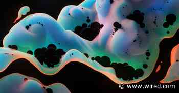 Is Dark Matter Just Black Holes Made During the Big Bang?