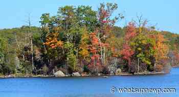 Finding Spectacular Fall Foliage – Right Here in Rhode Island - What'sUpNewp