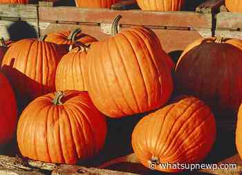 Things to do in Rhode Island this weekend: Sept. 18 – 20 - What'sUpNewp
