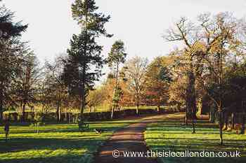 Woman seriously injured by dog in Epsom's Nonsuch Park