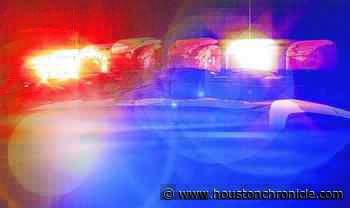 Houston woman found guilty of fraud in adoption scheme - Houston Chronicle