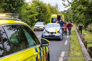 Hert afgeschoten na botsing in Laag-Soeren; automobilist gewond naar ziekenhuis