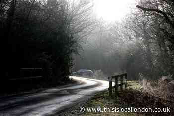 The haunted history of Epping Forest
