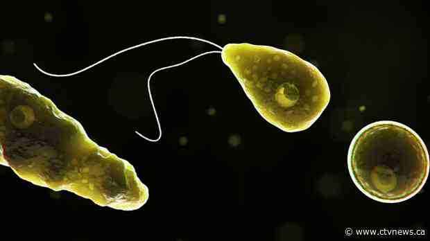 8 Texas cities were alerted to a brain-eating amoeba found in water supply