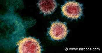 ¿Cual es la nueva ruta que encontró el coronavirus para infectarnos? - infobae