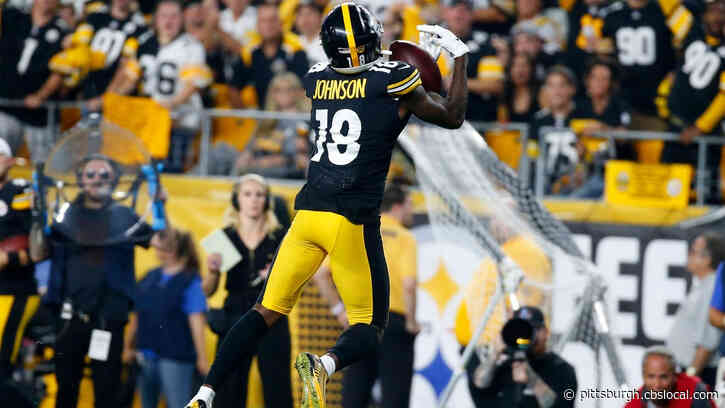 Steelers WR Diontae Johnson Evaluated For Possible Concussion