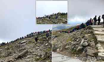 Hundreds of walkers cram onto Snowdon and queue without social distancing for a photo at the summit