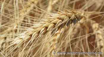 Weizen: Konsolidierung nach Aufwärtsimpuls