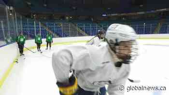 Huskies women’s hockey team enters season full of youth and excitement