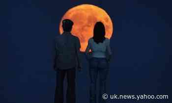 The Harvest Moon – a golden globe to welcome the autumn