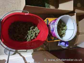 Buckets of cannabis seized in police raid on Napier Close - St Helens Star