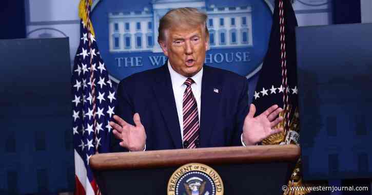 New York Times Claims POTUS Paid Only $750 in Taxes During First Year in Office, Trump Lawyer Says NYT Facts Are ‘Inaccurate”