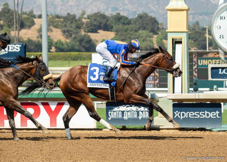 Horse Racing: Harvest Moon wins Zenyatta Stakes at Santa Anita