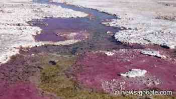 We may finally know what life on Earth breathed before there was oxygen - Live Science