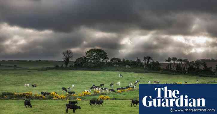 'We’ve crossed a threshold':  has industrial farming contributed to Ireland’s water crisis?